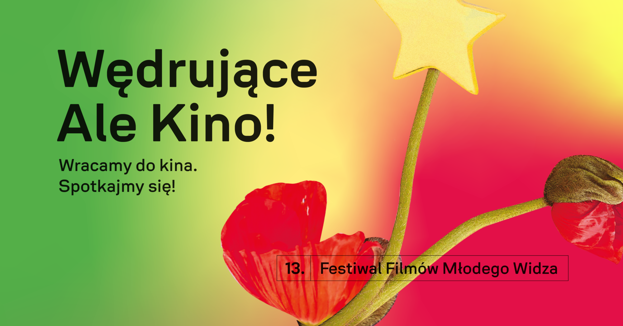 Plakat 13. Festiwalu Filmów Młodego Widza z napisem Wracamy do kina. Spotkajmy się! Na cieniowanym tle dwa kwiaty, a pomiędzy nimi łodyga z gwiazdką