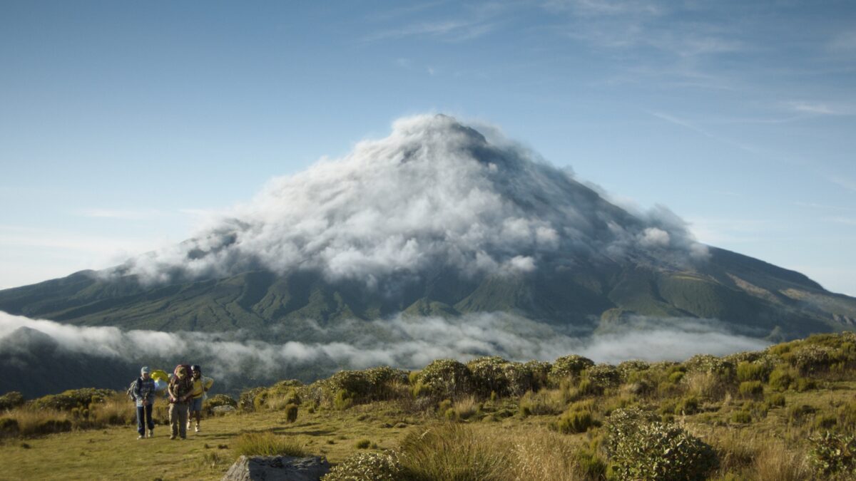 Grupa ludzi idzie pustym polem w tle widać ogromną górę