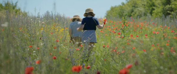 dwie dziewczynki w kapeluszach spacerują po makowym polu