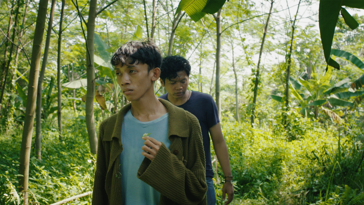 dwójka chłopaków w lesie