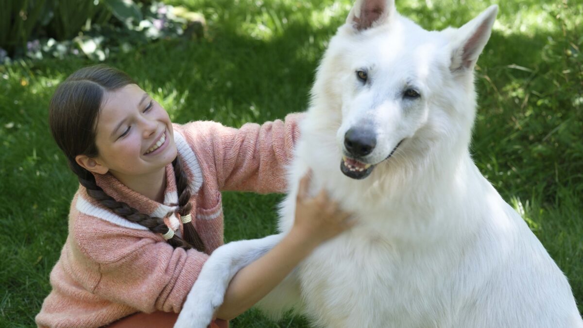 dziewczynka głaszcze białego psa