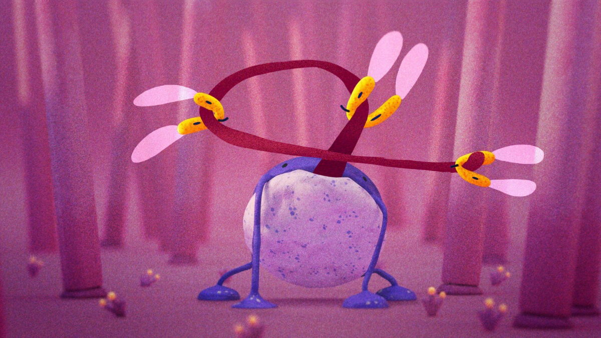 animowana różowa kulka na różowym tle