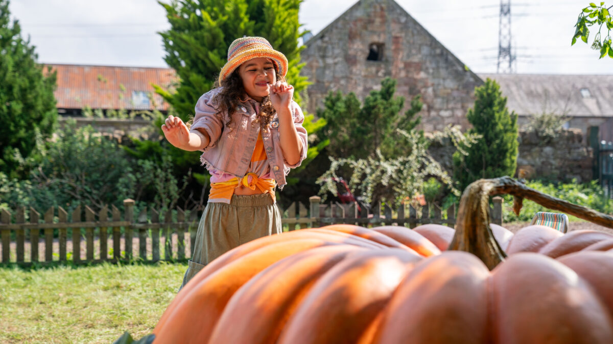 Uśmiechnięta dziewczynka patrzy na ogromną dynie