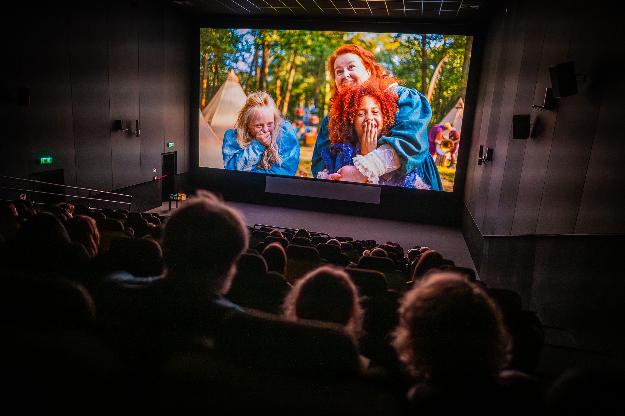 ciemna sala kinowa, widok na ekran, przed nim zaciemniona publiczność tyłem