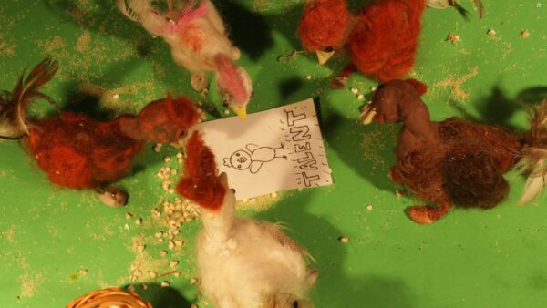 Kadr z filmu animowanego ukazuje kilka ręcznie wykonanych ptaków ustawionych wokół kartki z rysunkiem leżącej na zielonym tle.