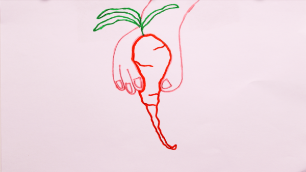 Kadr z filmu animowanego, rysunek przedstawia ręce trzymające warzywo o wydłużonym kształcie z zielonymi liśćmi.