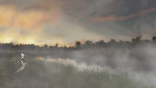 Kadr z filmu animowanego, rozległy krajobraz nad wodą spowity jest mgłą, a na brzegu stoi samotny ptak.