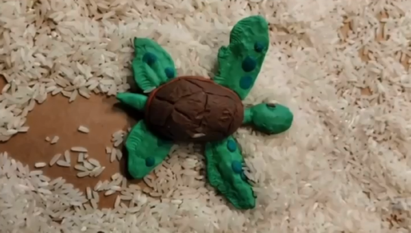 Kadr z filmu animowanego, plastelinowy żółw leży na jasnym podłożu pokrytym ziarnami przypominającymi piasek.